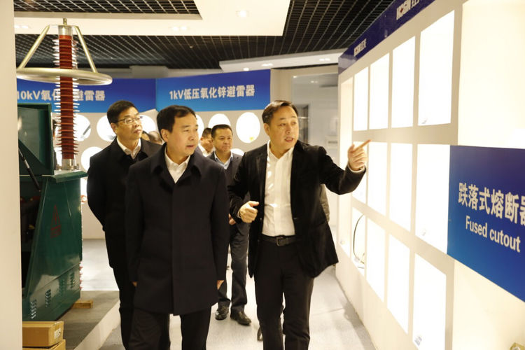 温州市委常委、组织部长马永良莅临问鼎娱乐app电气集团调研指导